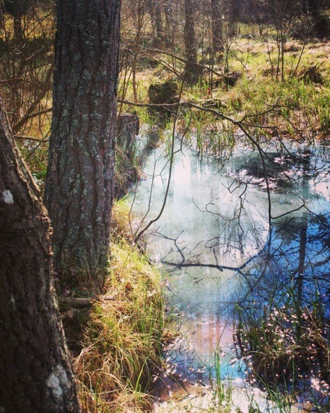 Magical rainbow lake. There should be a unicorn in there somewhere.