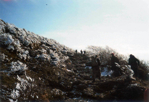 Two Weeks Ago I Went Hiking With Friends At Mt. Kirishima (), A Mountain Range In Southern Kyushu. During
