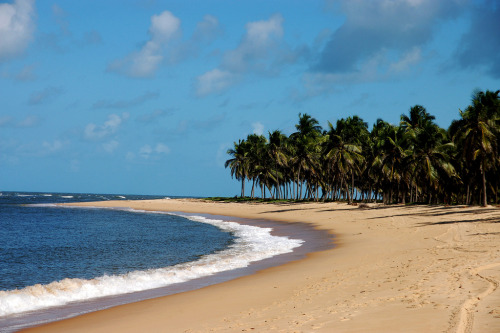 brazilwonders: Praia do Gunga - Maceió, Alagoas (by Stella Padão)