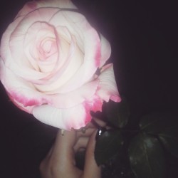 And she’s always thinking of karina too :) #theBEST #pinkrose #beautiful #herfirstrose