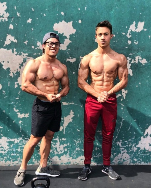   William Shewfelt @Williamshewfelt · 