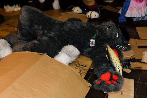 bat-ponies-after-dark: qeteshpony: I have been to NordicFuzzCon 2018 last week! Unfortunately I coul