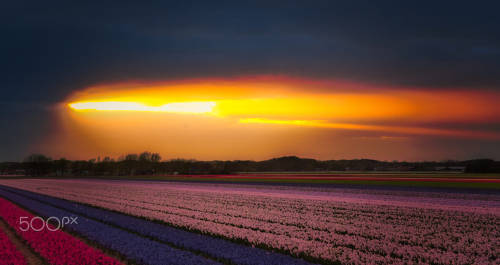 Shine by Peter Dekker camera: Nikon D7200