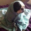 thelittlebookworm12
