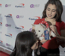 c4bellos:Camila & Lauren being cute with Nadine the puppy 