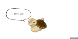marauders4evr:  Have a motivational turtle-duck!