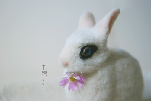 ▋ Hotot Rabbit ( custom-made ) Sculpture approximately 6.5 x 13.5 x 11 cm ( not including ears )