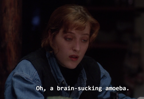 xfilesbaby:bigbardafree:scully deals with so much let her restOh, amoeba