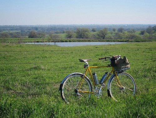 therubbishbin: So much green right now #oceanaircycles by Pondero on Flickr.