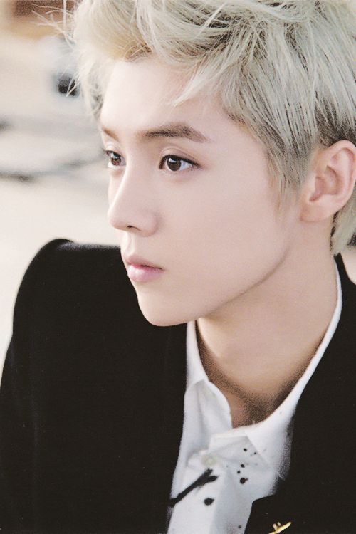 Nice dreams and Memories — Visions of a Wolf - The Seer (Luhan, pt. 1)...