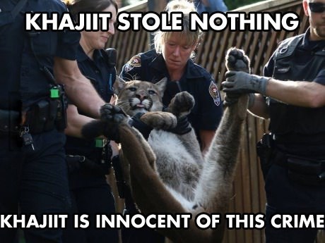 lovegamersblog:  Khajit Wants a Lawyer 