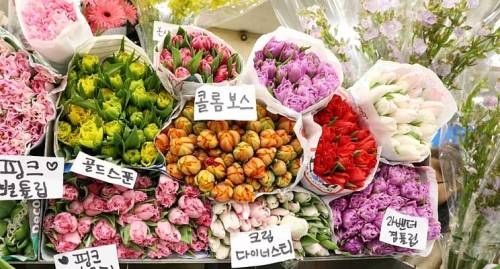 Flower Market - South Korea