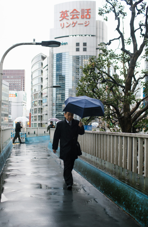 rainy days in tokyo - march 2019