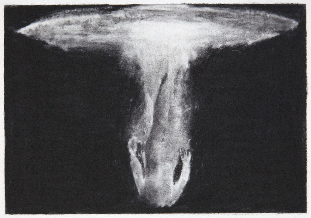 blue-voids:  Damien Cadio - characoal on paper, 2012