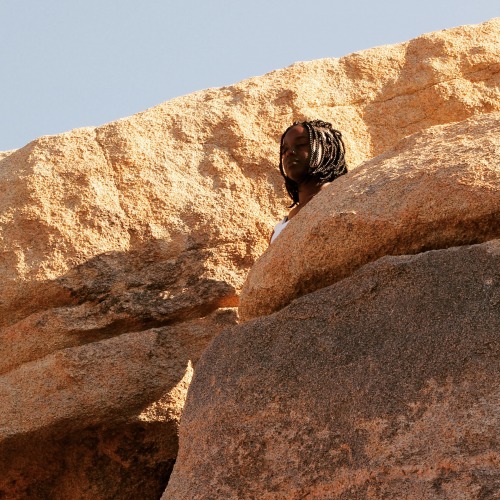 Joshua Tree meditating before I twerk…wait for it