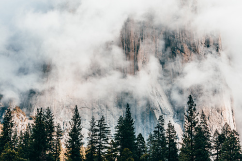 ravivora: a shy El Capitan photo by Ravi Vora