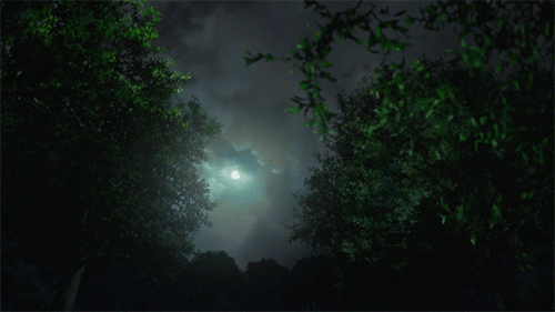 midnight rain