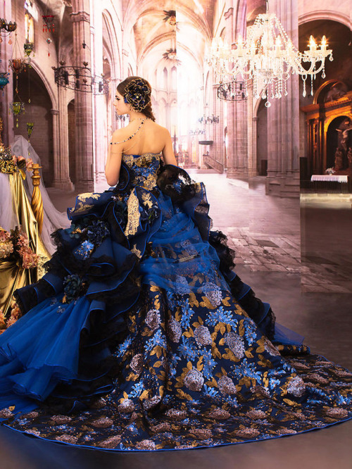 inkxlenses:Royal Ball Gown (Stella de Libero)