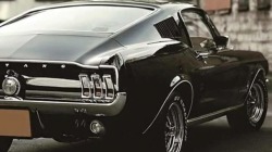 musclecars4ever