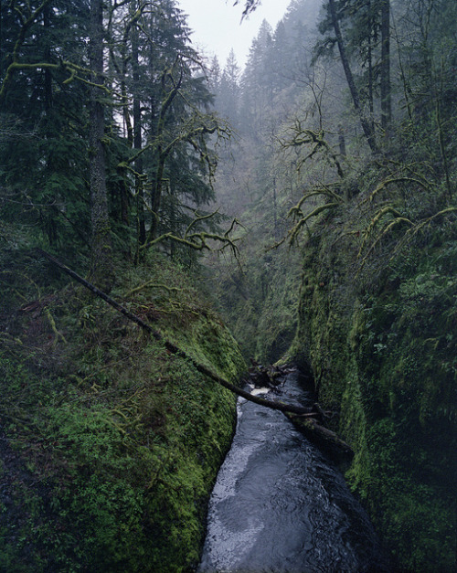 inatt:Oneonta Falls from above by John Carleton on Flickr.