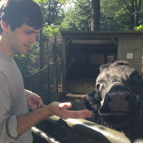 stutteringalec: Actual Disney Princess Matthew Daddario: Matthew + Animals