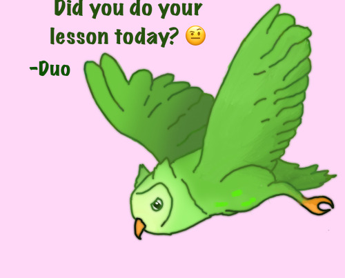 Duolingo But An Actual Owl