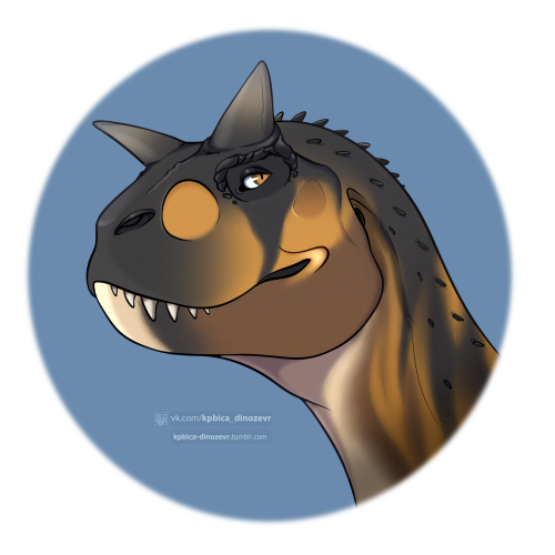 kpbica-dinozevr
