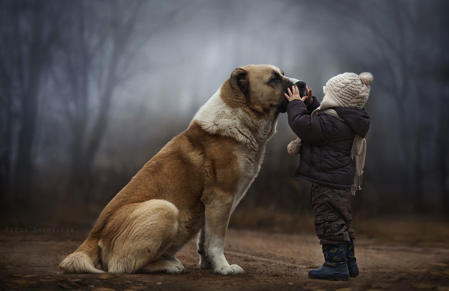 zipping:  Elena Shumilova is a Russian photographer who takes these beautiful photos