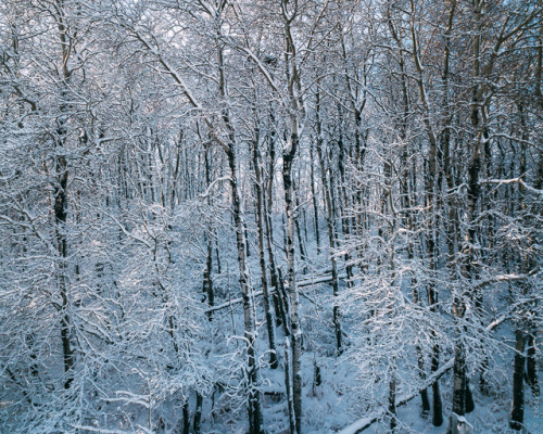 thisherelight:I’ve been patiently waiting for hoarfrost since i bought my drone. friday it came and 