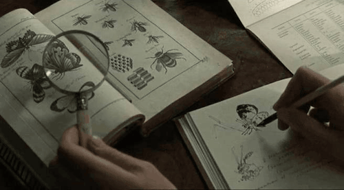 dame-desroses:wives and daughters (1999) dir. nicholas renton