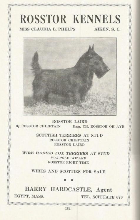 doggypostcardsandephemera: Vintage Dog Kennel Advertisement - Scottish Terrier From Eastern Dog Club