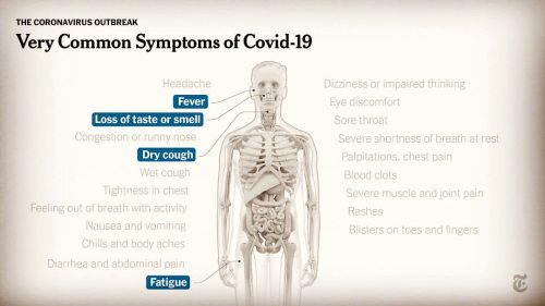 COVID-19 symptoms  https://www.instagram.com/p/CDh97HTDoST/?igshid=1w4elvs9447mo porn pictures