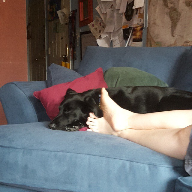 Junior in new couch heaven