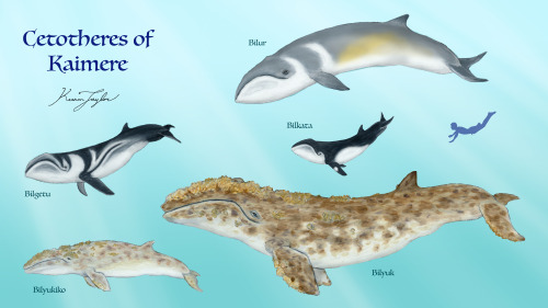 Cetotheres are a clade of baleen whales. On Earth, they were highly common and diverse, thriving as 