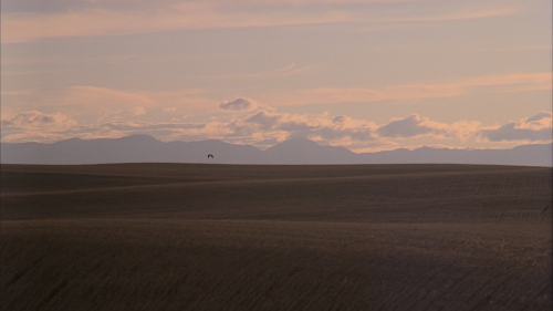 silverscreencaps:Days of Heaven (1978)