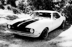 musclecarinstant:  t