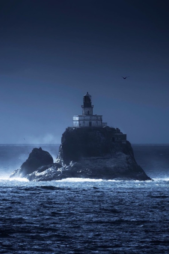 maureen2musings:    The Oregon coast seems like it’s straight out of a fairy tale