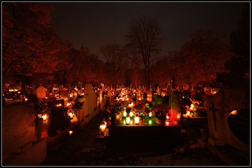 a-loss-forever-new:  Cementery in Toruń Poland/ 1st Novemeber/ All Saints Day by sheevey on Flickr. 