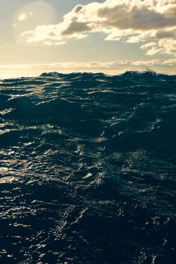 plasmatics:  Ocean by Robert Coombs  