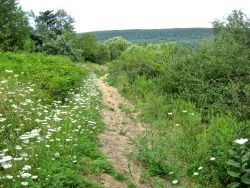 geopsych:  And we took a walk with the Kittatinny Ridge in the background.