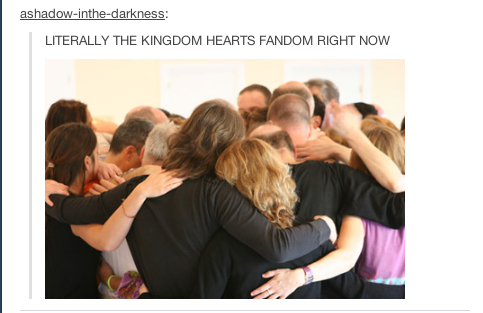 everythingdissolvesinlove:  The Kingdom Hearts fandom at its finest. 