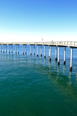 perspctives:Ocean Beach Pier