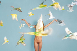 sonjabarbaric:  Ryan McGinley, Parakeets