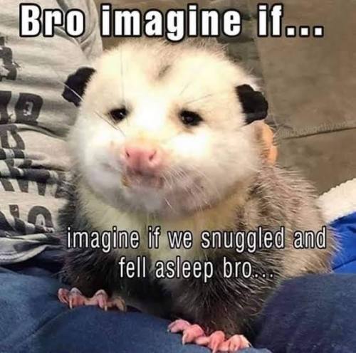 Hmmmmmmmm