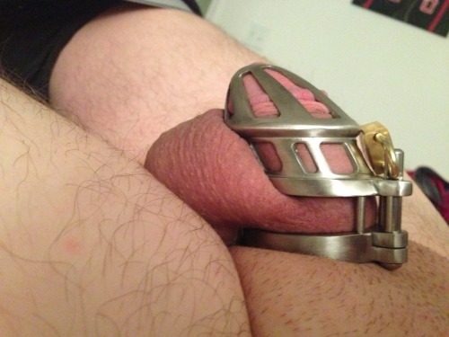 chastitypup:  Holy. Wow. Words fail me. The Bon4m has not let me down!!! This thing fits like it’s custom. I’m so happy right now! Even more aroused because the ring fits better than my cb6ks which tho it allowed pullout I couldn’t get back in with