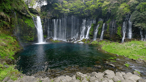 legendary-scholar:  Shiraito falls in Fujinomiya, Japan