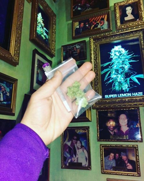 hkca420hk:  行埋櫃檯，落單，畀錢—買大麻話咁易。  #greenhousecoffeeshop #Amsterdam #HKCA420 #香港大麻協會 #cannabis #marijuana #weed #smokeweedeveryday #HK420 