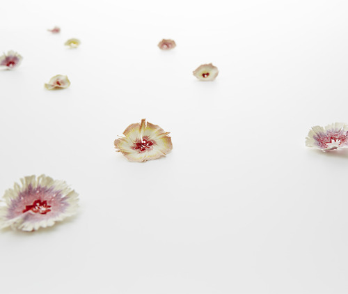 culturenlifestyle:  Miniature Paper Flowers Mimick Pencil Shavings by Haruka Misawa Designer&nb