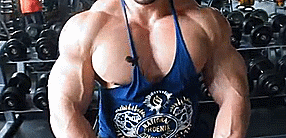 123abides:  Huge pecs capped with small Nipples adult photos