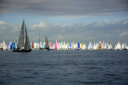 Tumblr's Largest Collection of Sailing Blogs